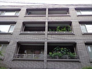 南青山ドミシル