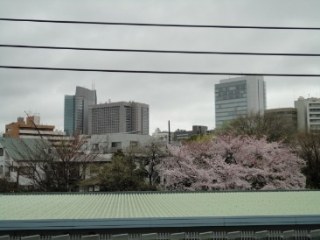パークビュー南青山