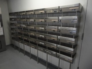 カスタリア新富町