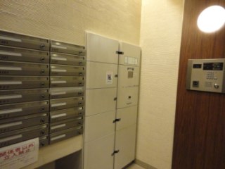 クリアウォータ芝