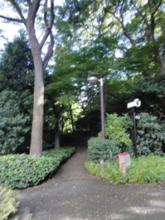 御殿山トラストコート