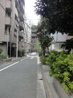 金子ビル