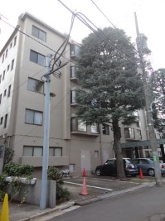 マンション原宿