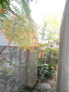 小林ビル（事務所）