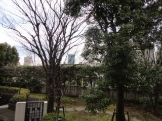 千駄ヶ谷4丁目テラスハウスA棟