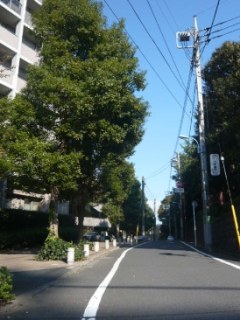 パークシティ杉並セントラルタワー