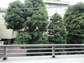 小田急コアロード六本木フロンテ