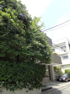 西参道Kハウス