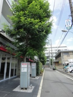 六本木デュープレックスエムズ （ROPPONGI DUPLEX M's）