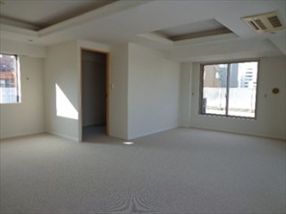 ライオンズマンション南青山グランフォート　（住居・事務所）