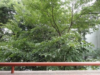 御殿山KLマンション