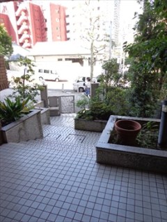 パークヒル芝