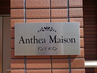 アンテメゾン