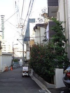 ステートⅡ(ステートツー)