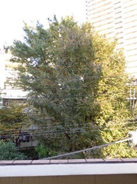 マリオン新宿河田