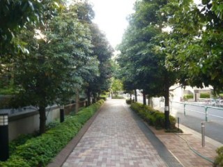ライオンズタワー池袋